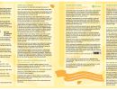 brochure 2